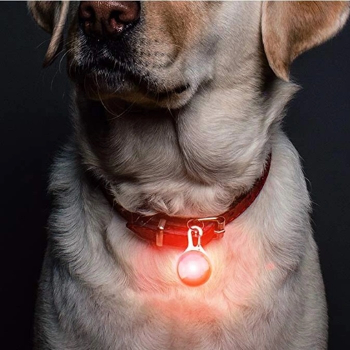 Pet Cat Dog Collar Light, Safety LED Lights for Dog Collar, Upgraded Dog Night Walking Lights
