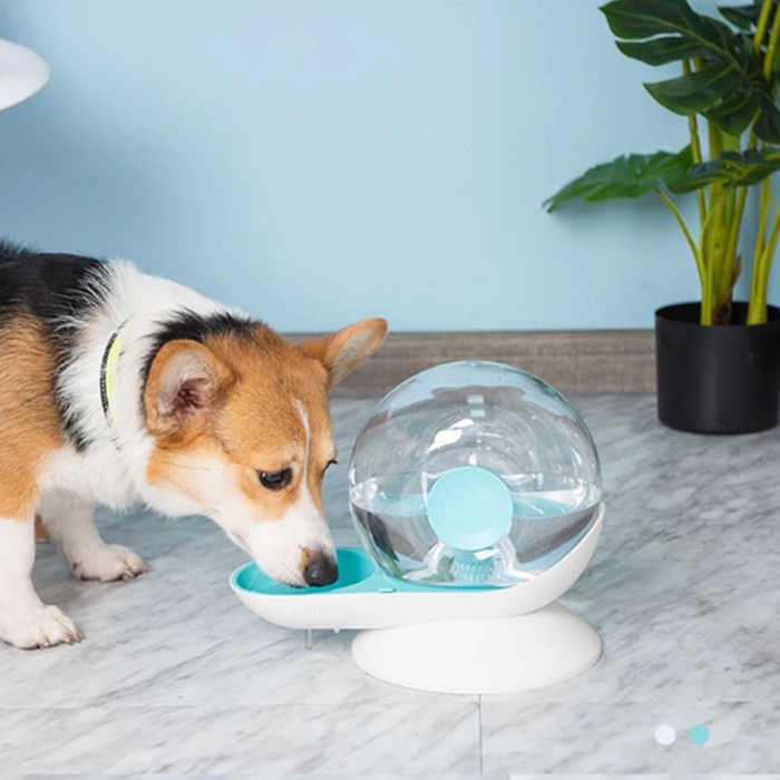 Linu Automatic Pet Water Feeder Snail Shape Drink Dogs Water Dispenser Water Feeder in 2.8L Cat Drinking Plastic Feeder
