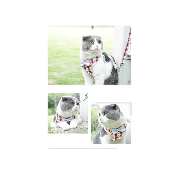Dog Leash and Collar Pet Collars Durable Cat Collar